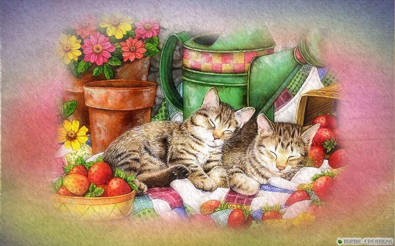Two Sleeping Kittens — Green, Peaceful, Spring