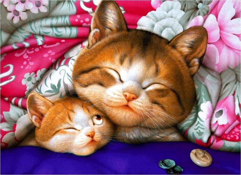 Two Sleeping Kittens — Pink