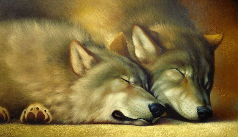 Two Sleeping Wolves — Brown