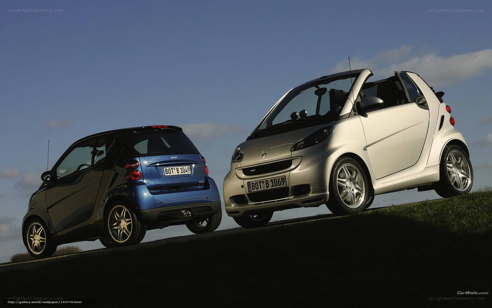 Two Smart cars on a hill