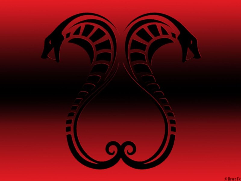 Two Snakes Forming a Heart
