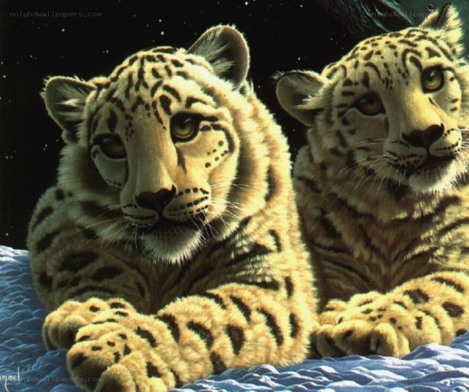 two snow leopard cubs