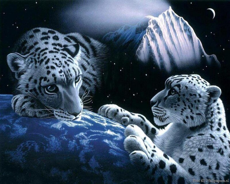Two Snow Leopards — Blue, Dramatic