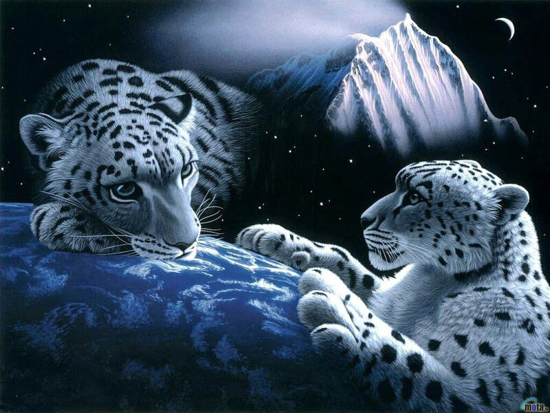 Two Snow Leopards — Blue, Serene, Night, Digital Art, Mountain, Moon