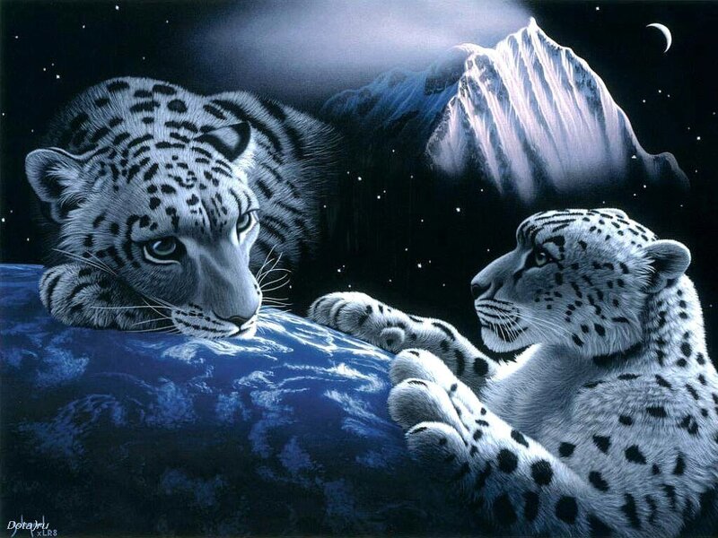 Two Snow Leopards — Blue, Serene, Night, Digital Art, Mountain