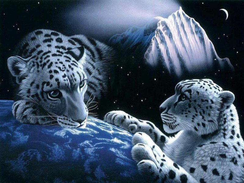 Two Snow Leopards — Blue, Serene, Night, Digital Art