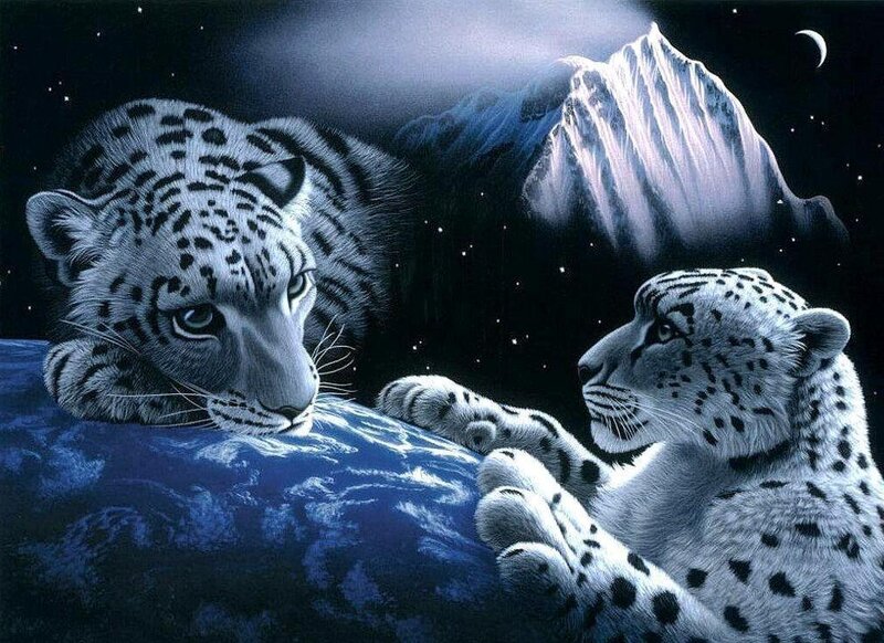 Two Snow Leopards — Blue, Serene, Night