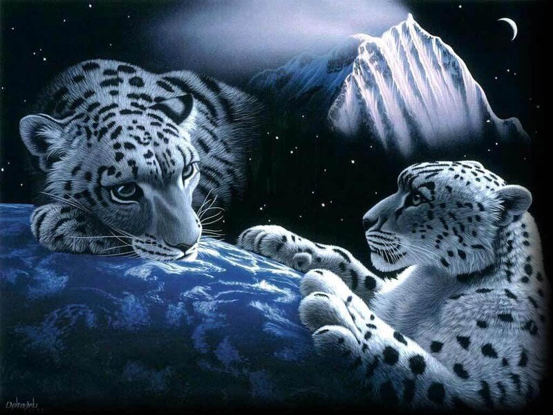 Two Snow Leopards — Blue
