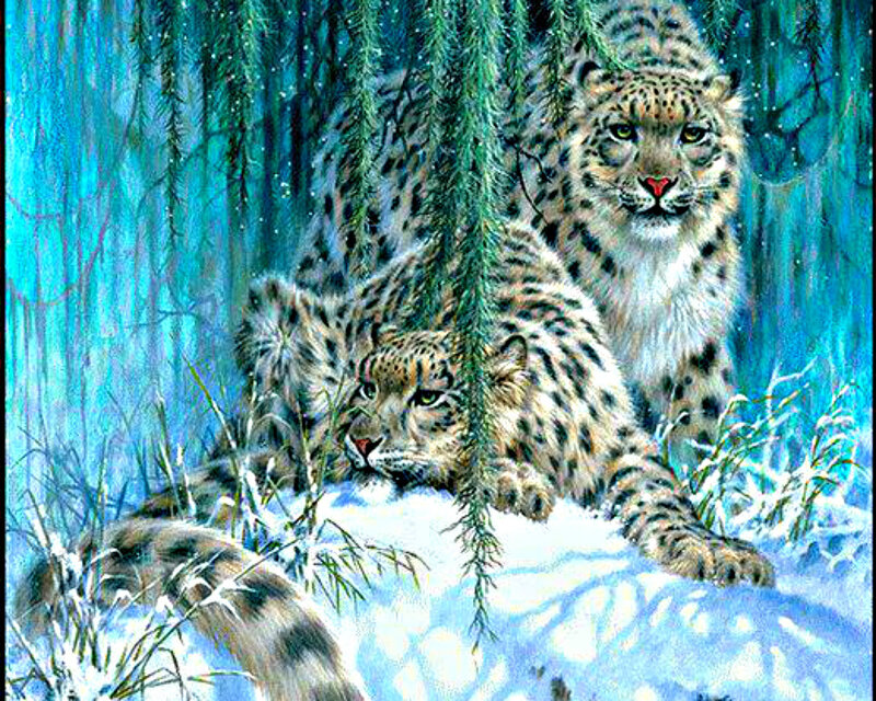Two Snow Leopards in Forest — Blue