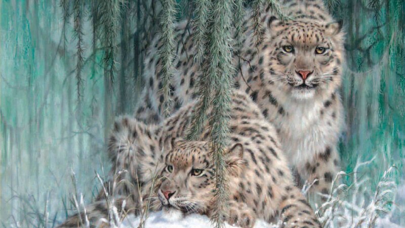 Two Snow Leopards in Forest
