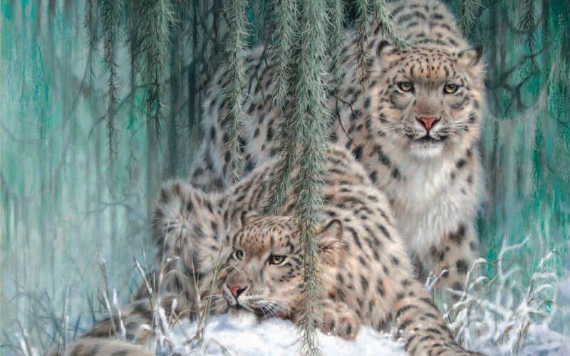 Two Snow Leopards in Forest — White, Alert