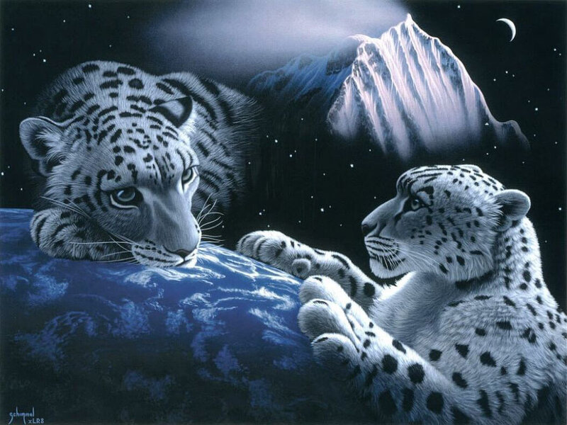 Two snow leopards on a planet