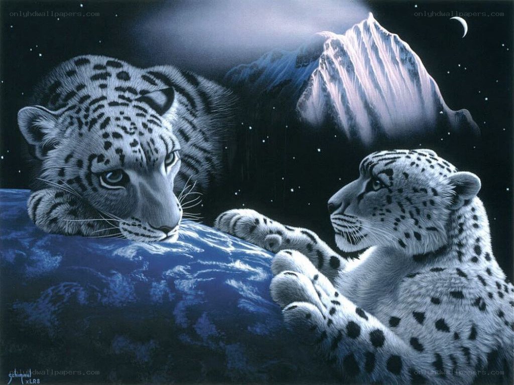 Two snow leopards on a planet