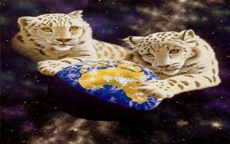 Two Snow Leopards with Earth
