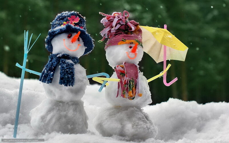 Two Snowmen in Snow — White, Playful, Winter