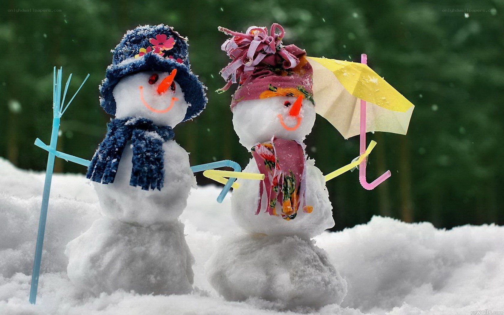 Two snowmen in the snow