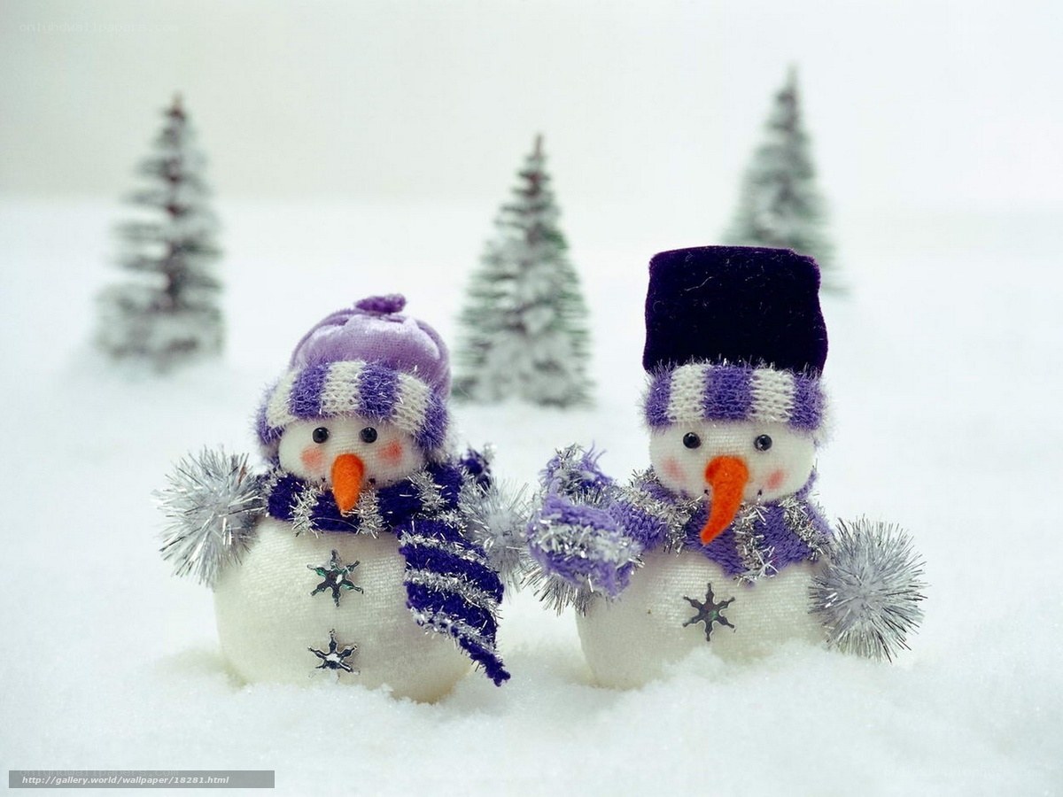 Two snowmen in winter