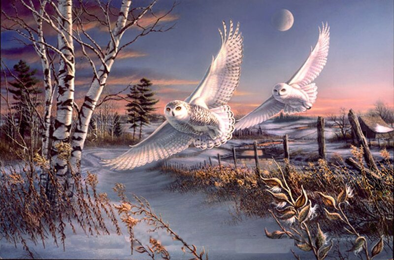 Two Snowy Owls Flying