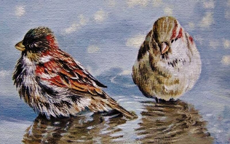 Two Sparrows in Water