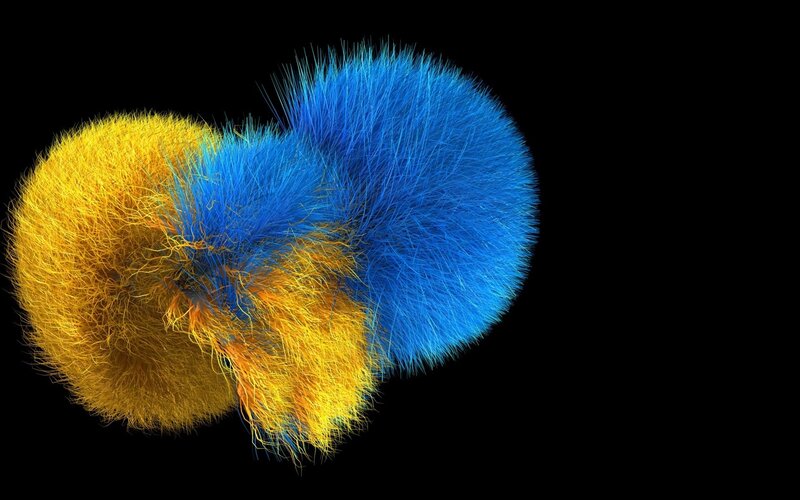 Two Spheres with Fibers