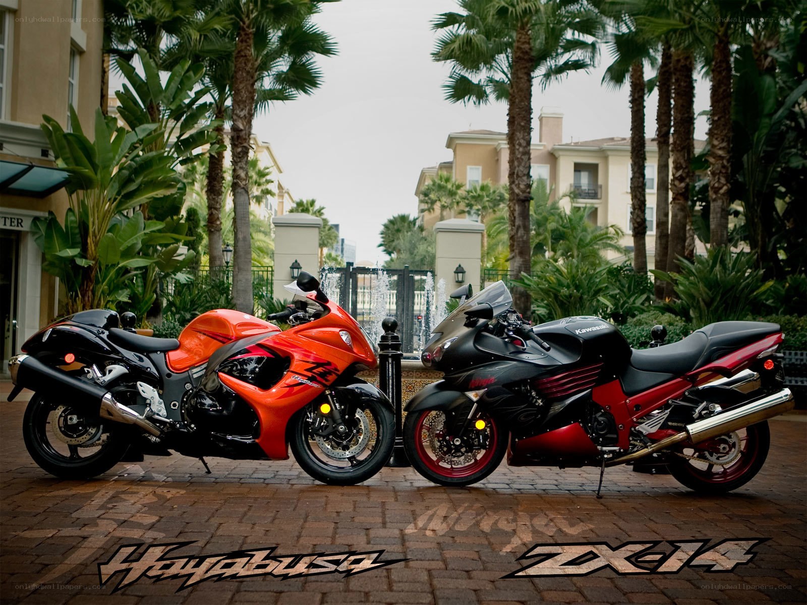 Two sport motorcycles side by side
