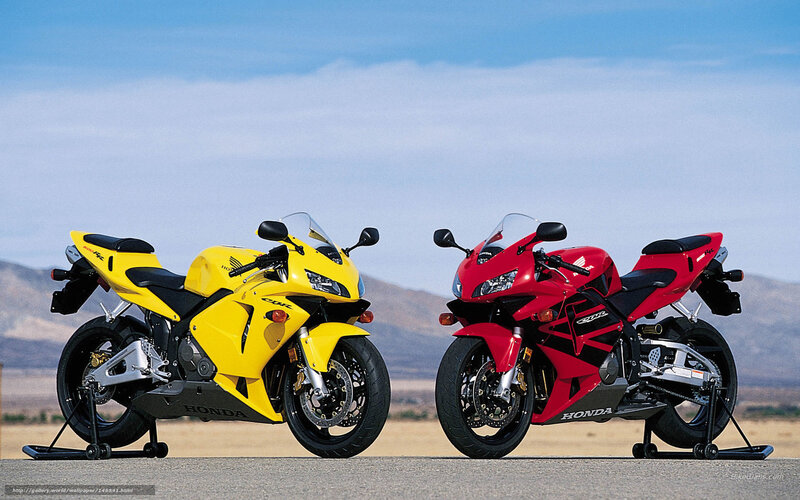 Two Sport Motorcycles — Yellow, Open