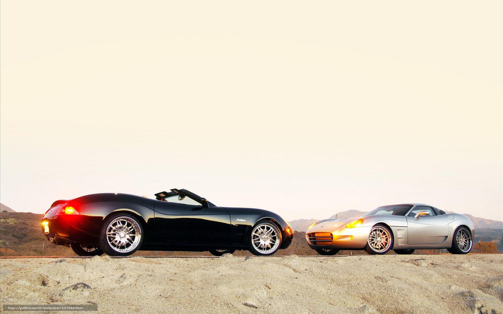 Two sports cars on a hillside