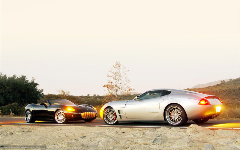 Two sports cars on a road