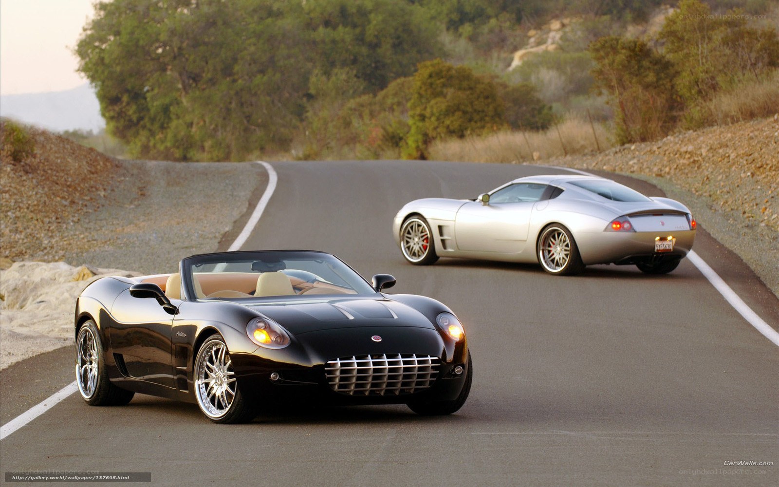 Two sports cars on a winding road