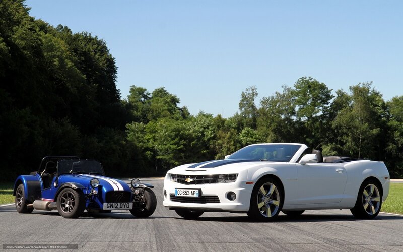 Two Sports Cars on Track — White, Serene