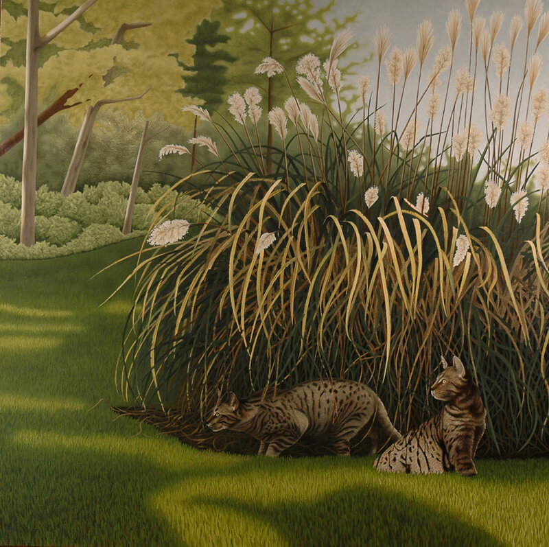 Two Spotted Cats in Grass