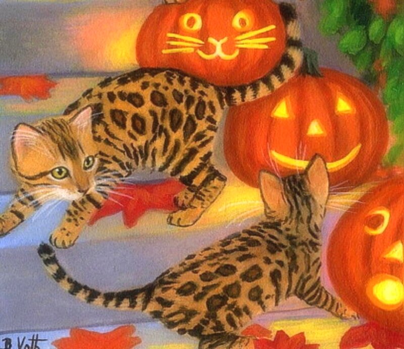 Two Spotted Cats with Pumpkins