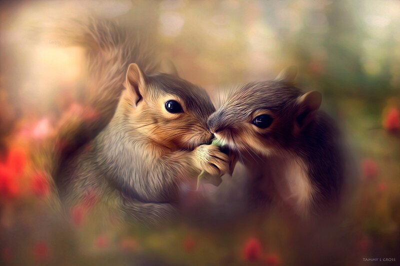 Two Squirrels Eating — Brown, Peaceful