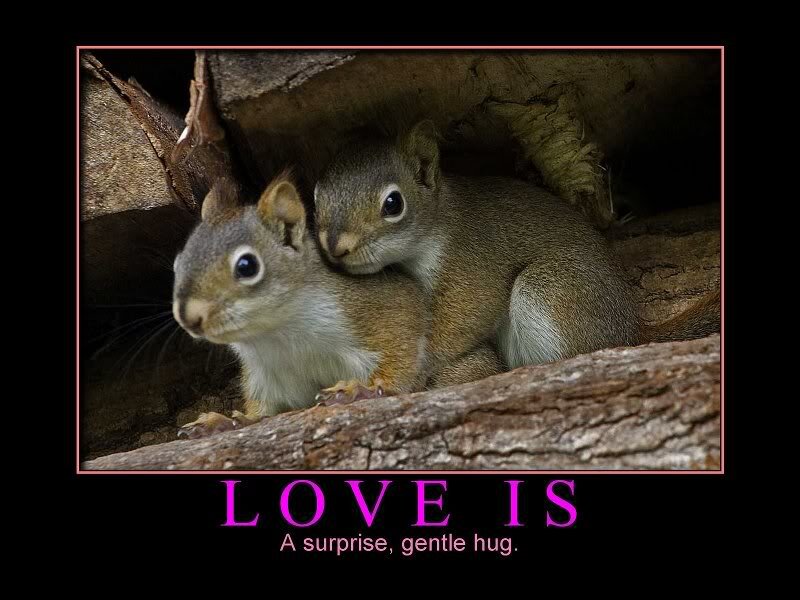 Two Squirrels Hugging