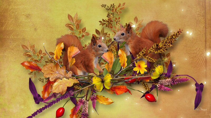 Two Squirrels in Autumn