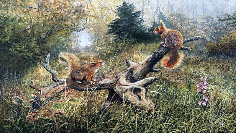 Two Squirrels on Log