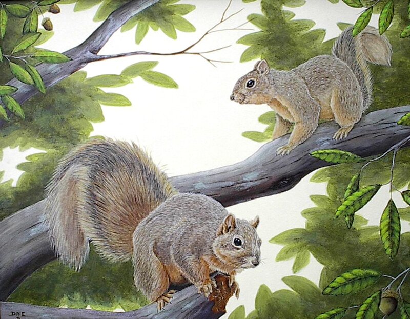 Two Squirrels on Tree Branch