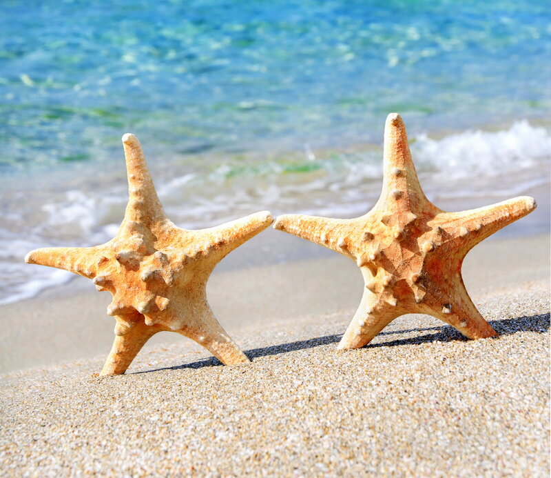 Two Starfish on Beach — Beige, Serene