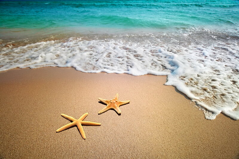 Two Starfish on Beach — Brown, Serene, Afternoon