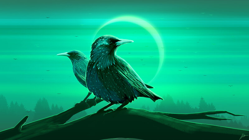 Two Starlings on Branch
