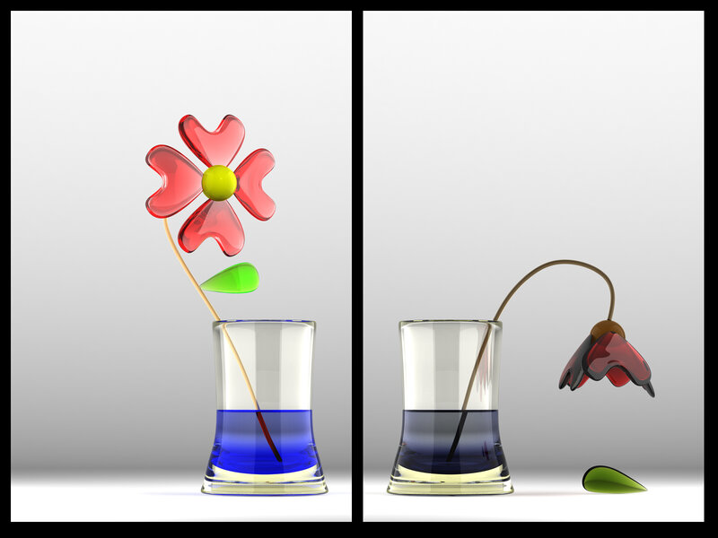 Two states of a glass flower