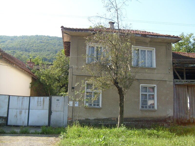 Two-story House with Tree