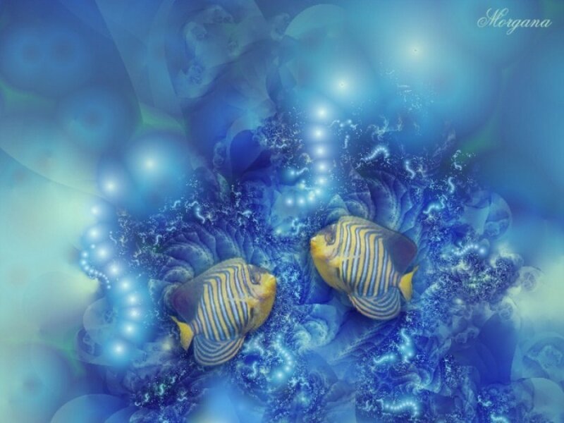 Two Striped Fish — Blue