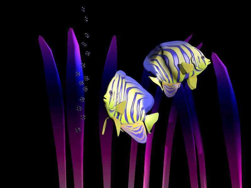 Two Striped Fish