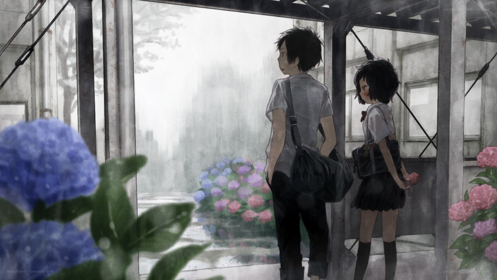 Two students at a rainy bus stop