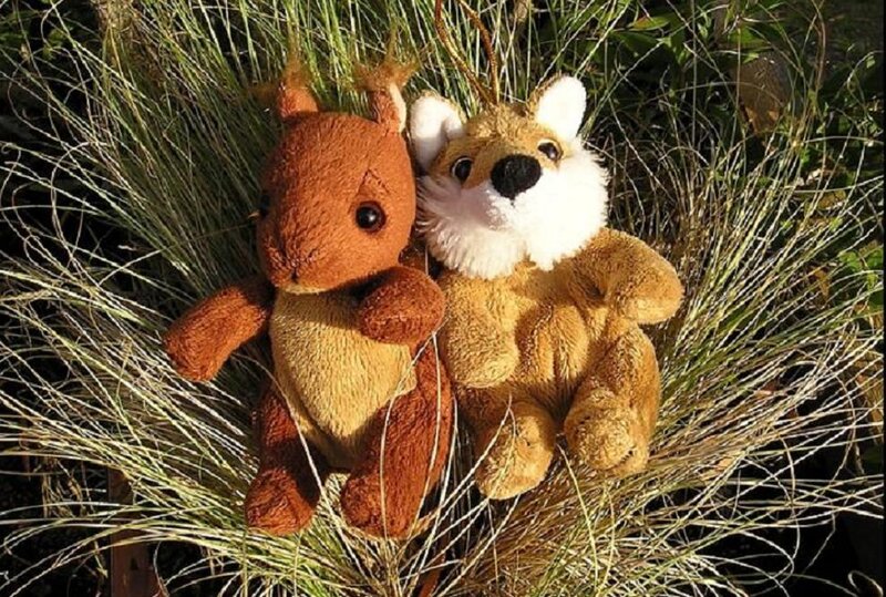 Two Stuffed Animals in Grass