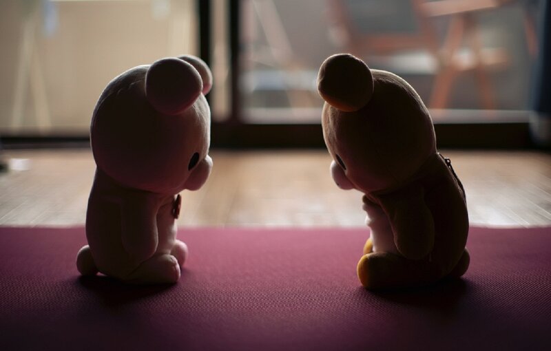 Two Stuffed Bears Sitting