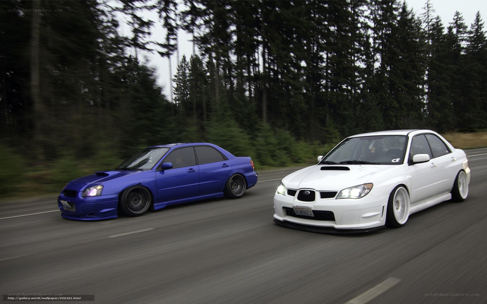Two Subaru cars on a road