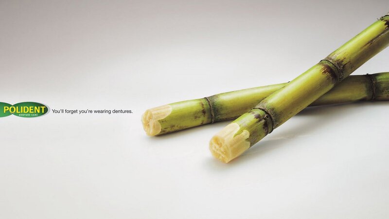 Two Sugarcane Stalks