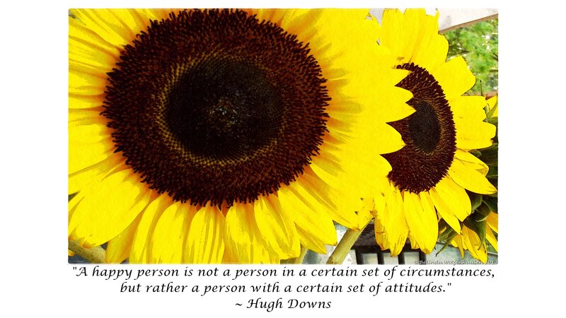 Two Sunflowers — Yellow, Calm, Afternoon